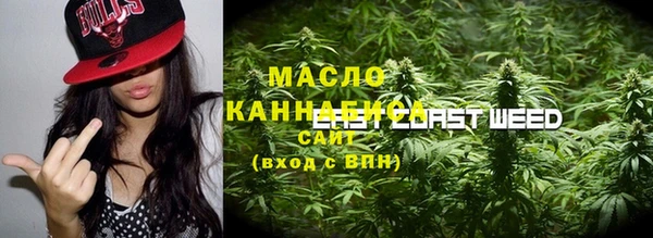 гидра Саяногорск