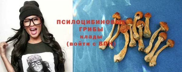 спайс Алексеевка