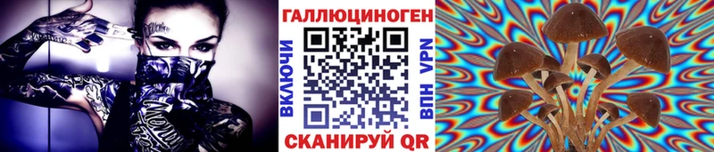 Галлюциногенные грибы ЛСД  наркота  Камбарка 