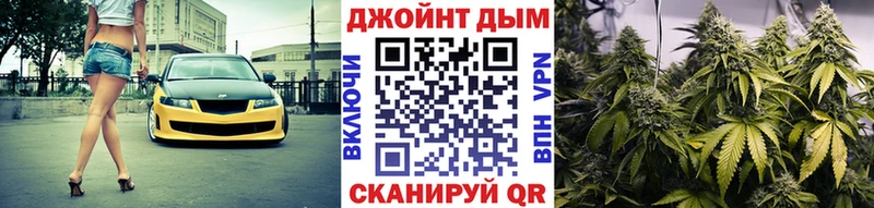 наркота  Камбарка  Канабис сатива 